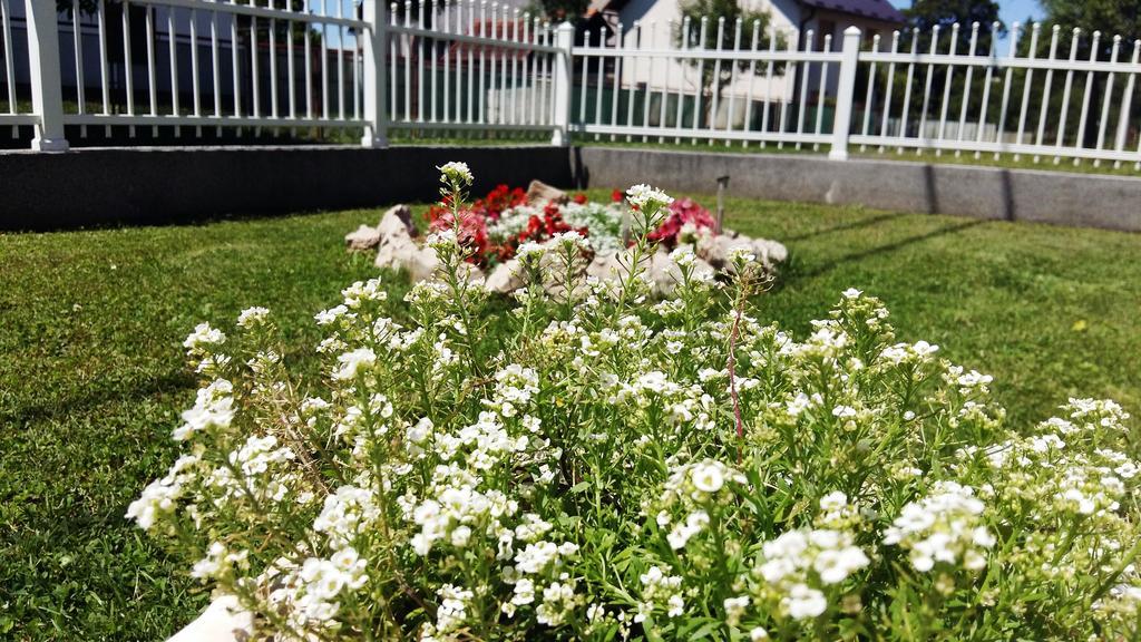 Sinac Holiday Home Bulog מראה חיצוני תמונה